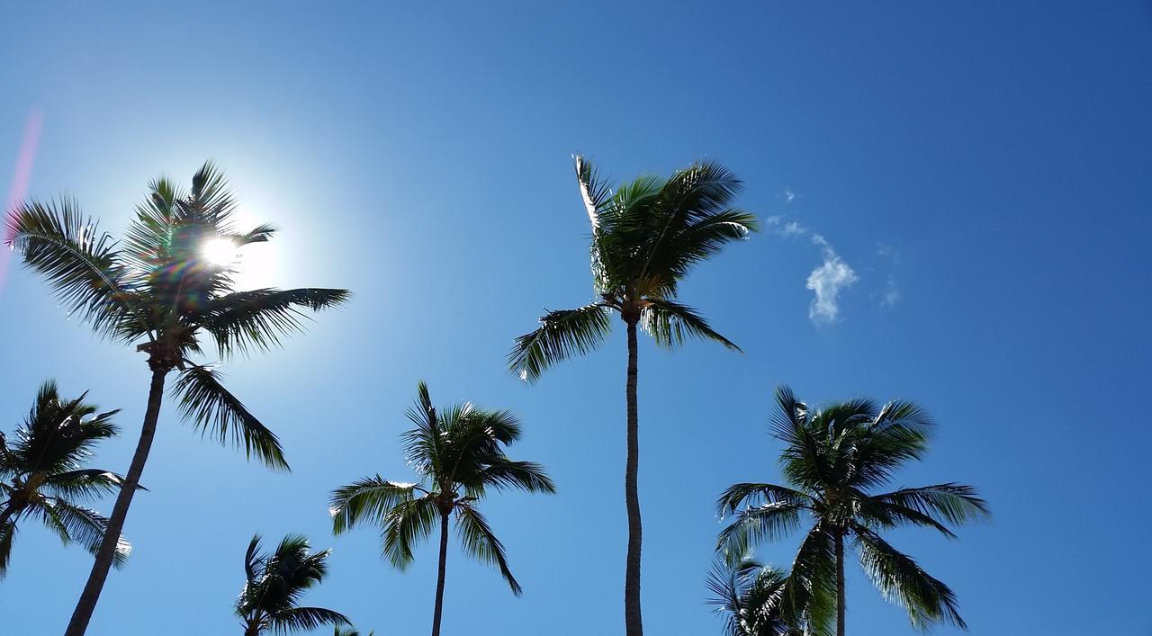 Villa Pina Las Terrenas Exteriér fotografie